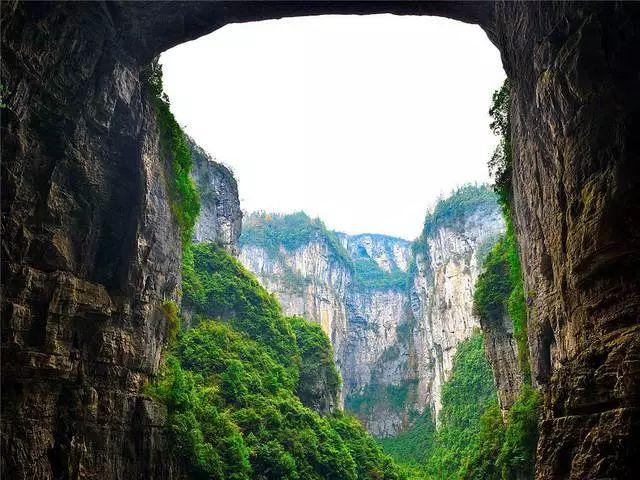 雷竞技比分